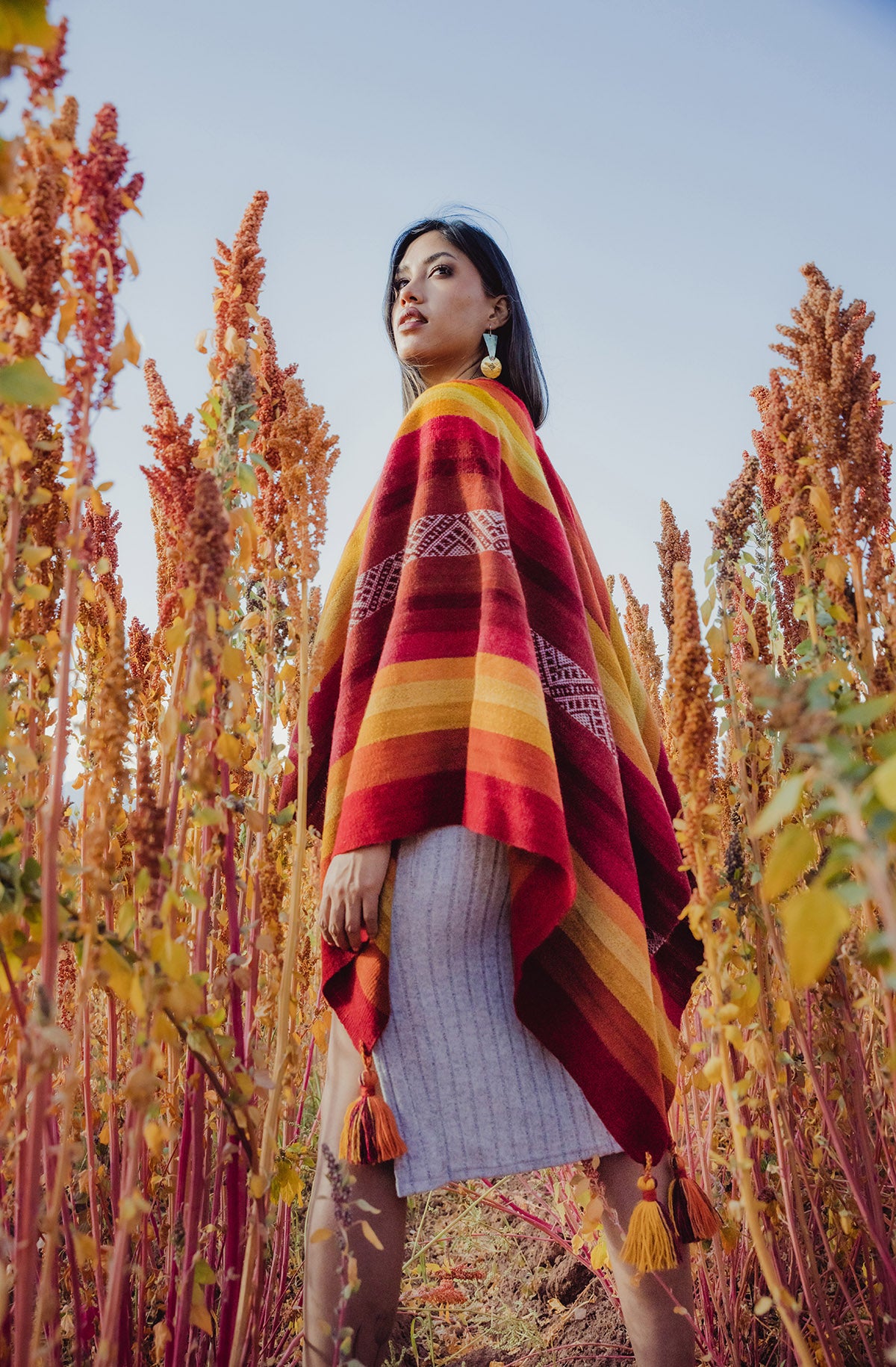 Capa de alpaca 019