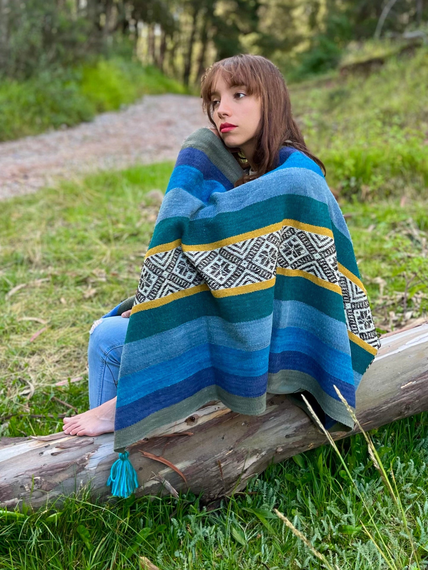Capa de oveja 019